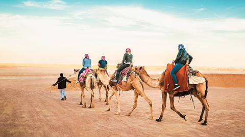 Camel trekkers in the desert.